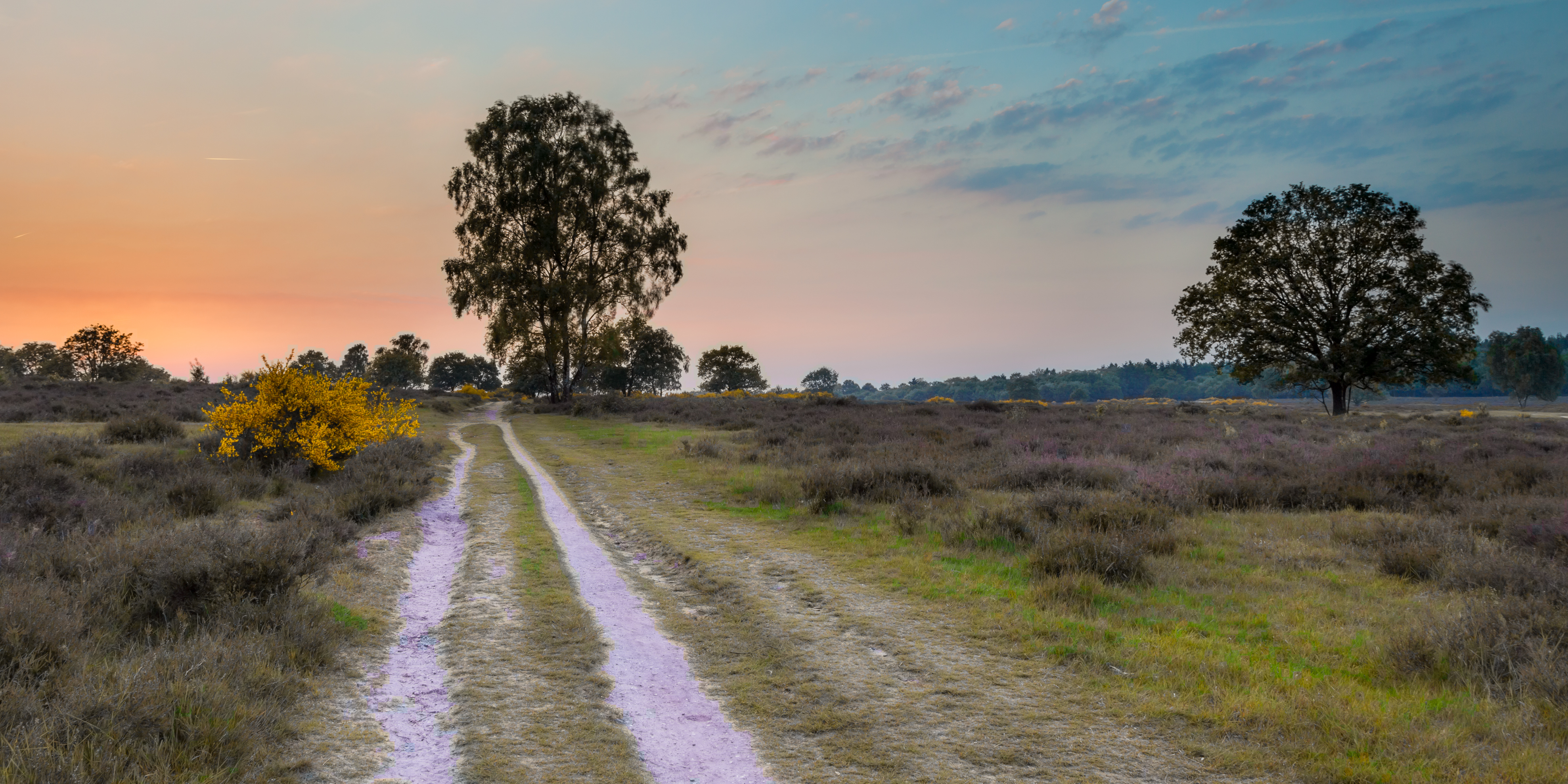 Heidelandschap bij zonsopkomst